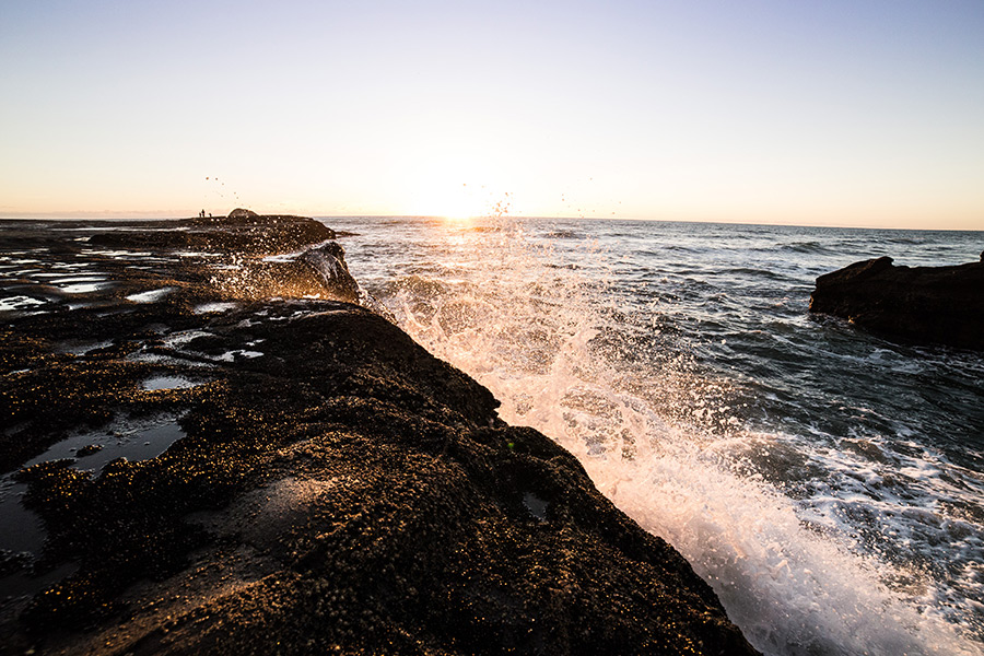 Muriwai-Beach-NewZealand